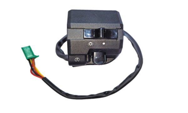 Deutsche Combination Switch for Bajaj Platina 110 BS-VI (RH)