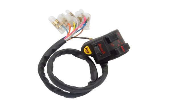 Deutsche Combination Switch for Hero Passion (LH)