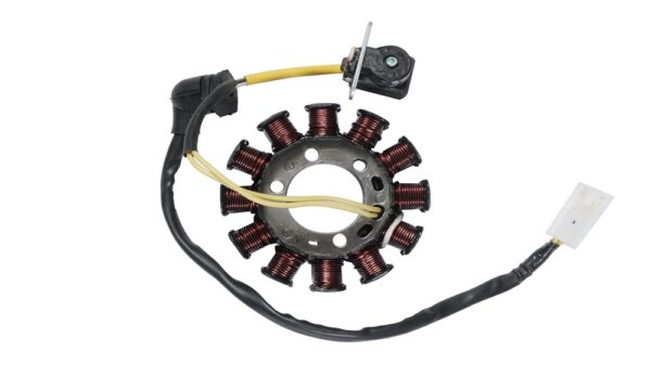 Deutsche STATOR / COIL PLATE ASSEMBLY FOR Bajaj Pulsar 200 NS